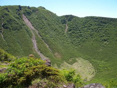 e0272335_541518.jpg