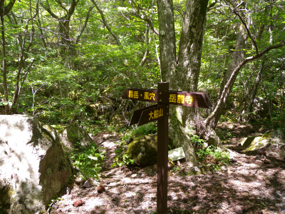 e0272335_5524147.jpg