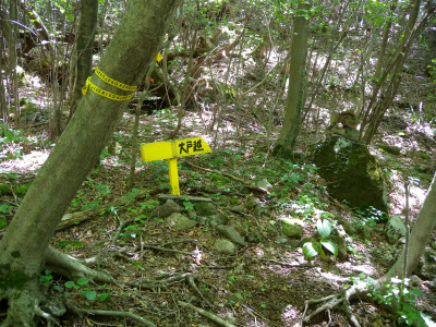 e0272335_5561598.jpg