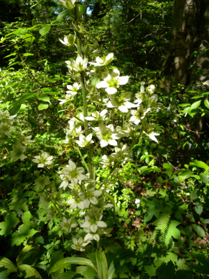 e0272335_8243615.jpg