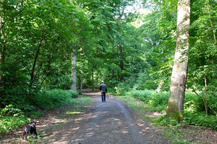 c0153740_1743190.jpg