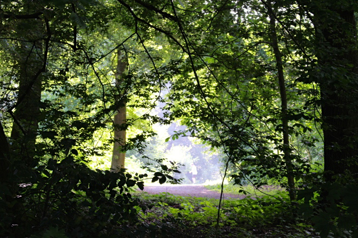c0153740_17441165.jpg