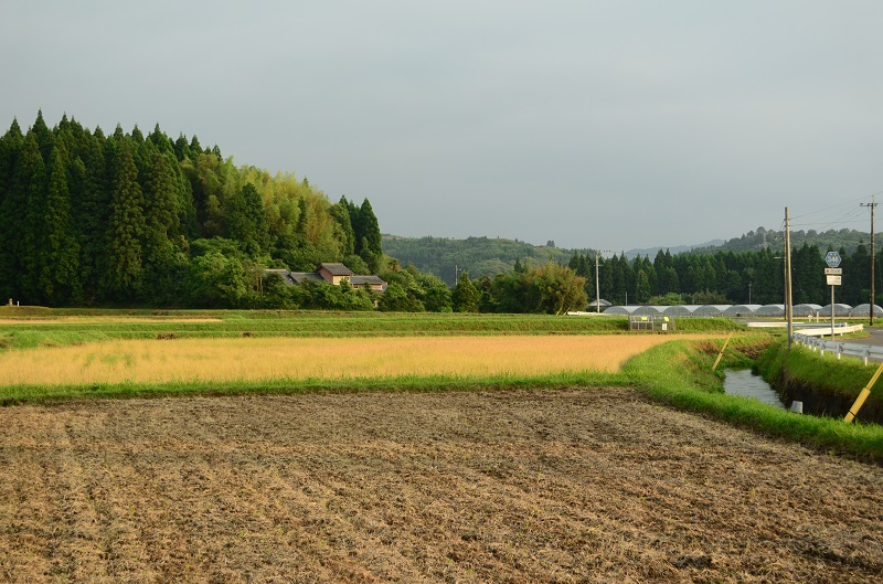 b0288942_8445398.jpg