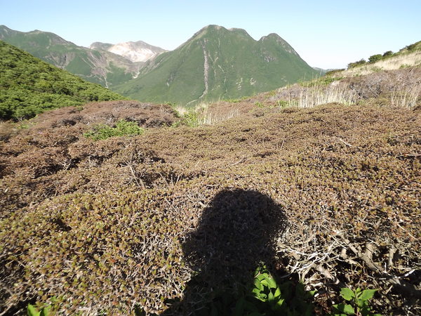 a0206345_7272249.jpg