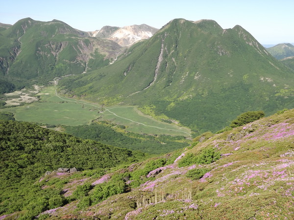 a0206345_7461314.jpg