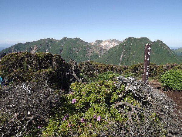 a0206345_7543074.jpg