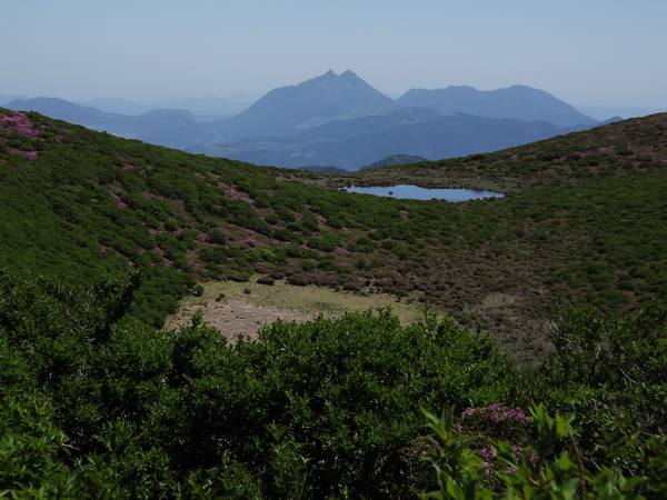 a0206345_9163766.jpg