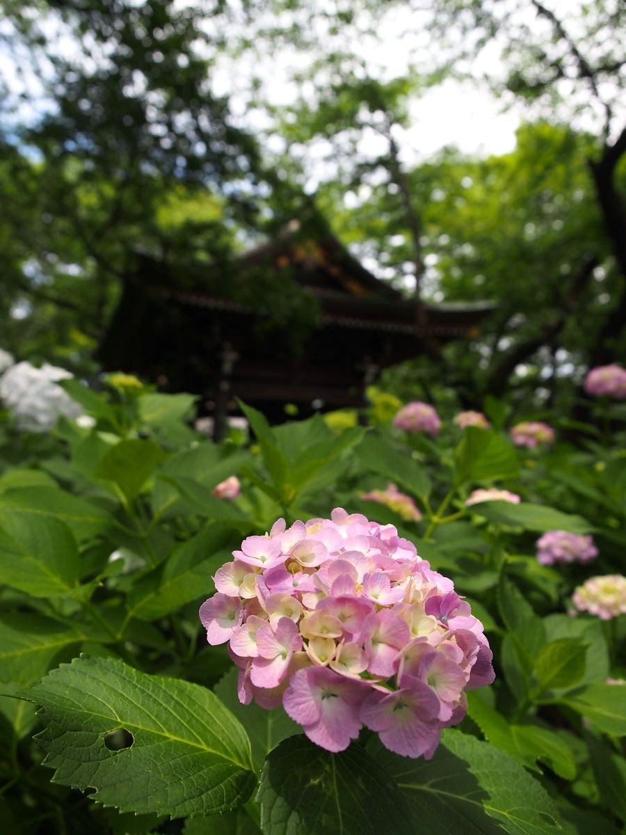 a0063552_841549.jpg