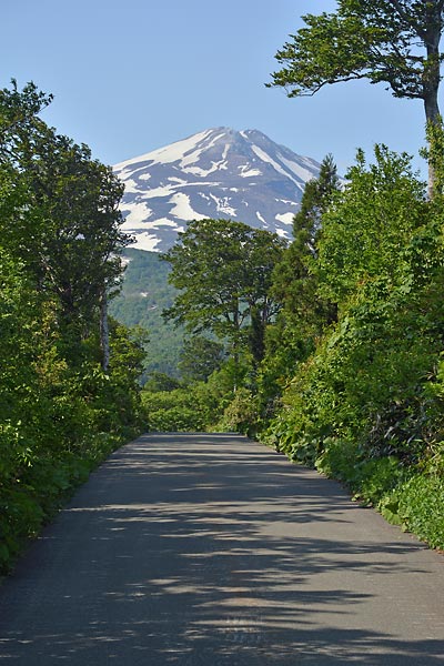 c0043361_202286.jpg