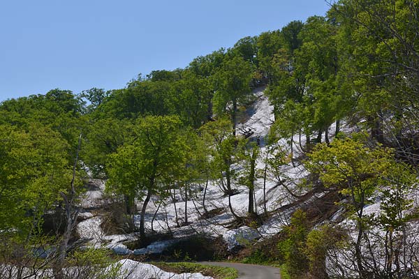 c0043361_2026157.jpg
