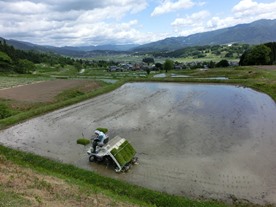 b0218664_1961350.jpg