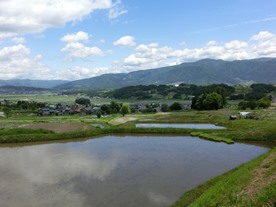 b0218664_196818.jpg