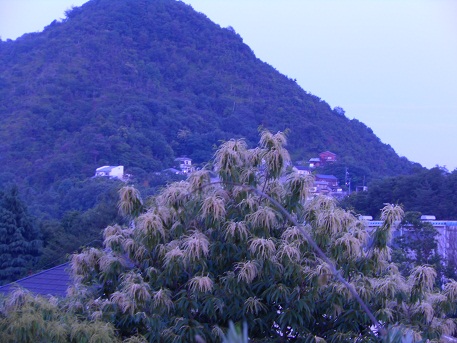 e0175370_16264511.jpg