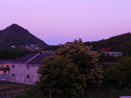 e0175370_16272985.jpg