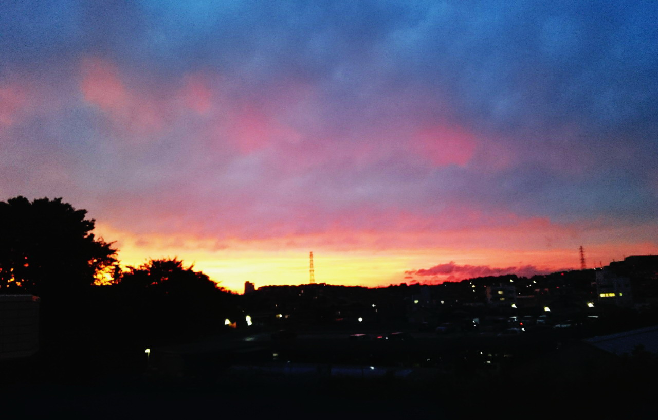 e0284671_1138078.jpg