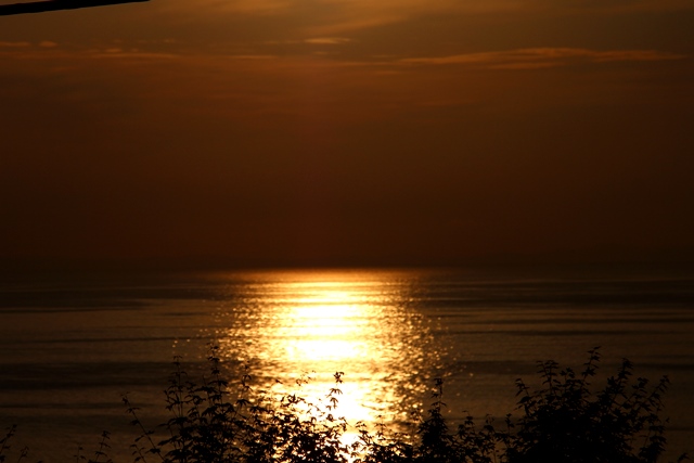 d0126577_21573283.jpg
