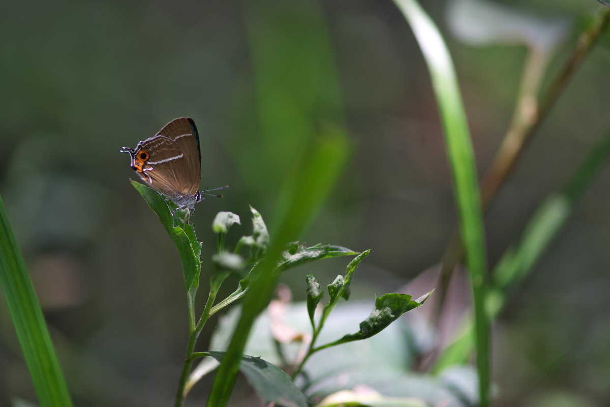 a0083081_2303641.jpg