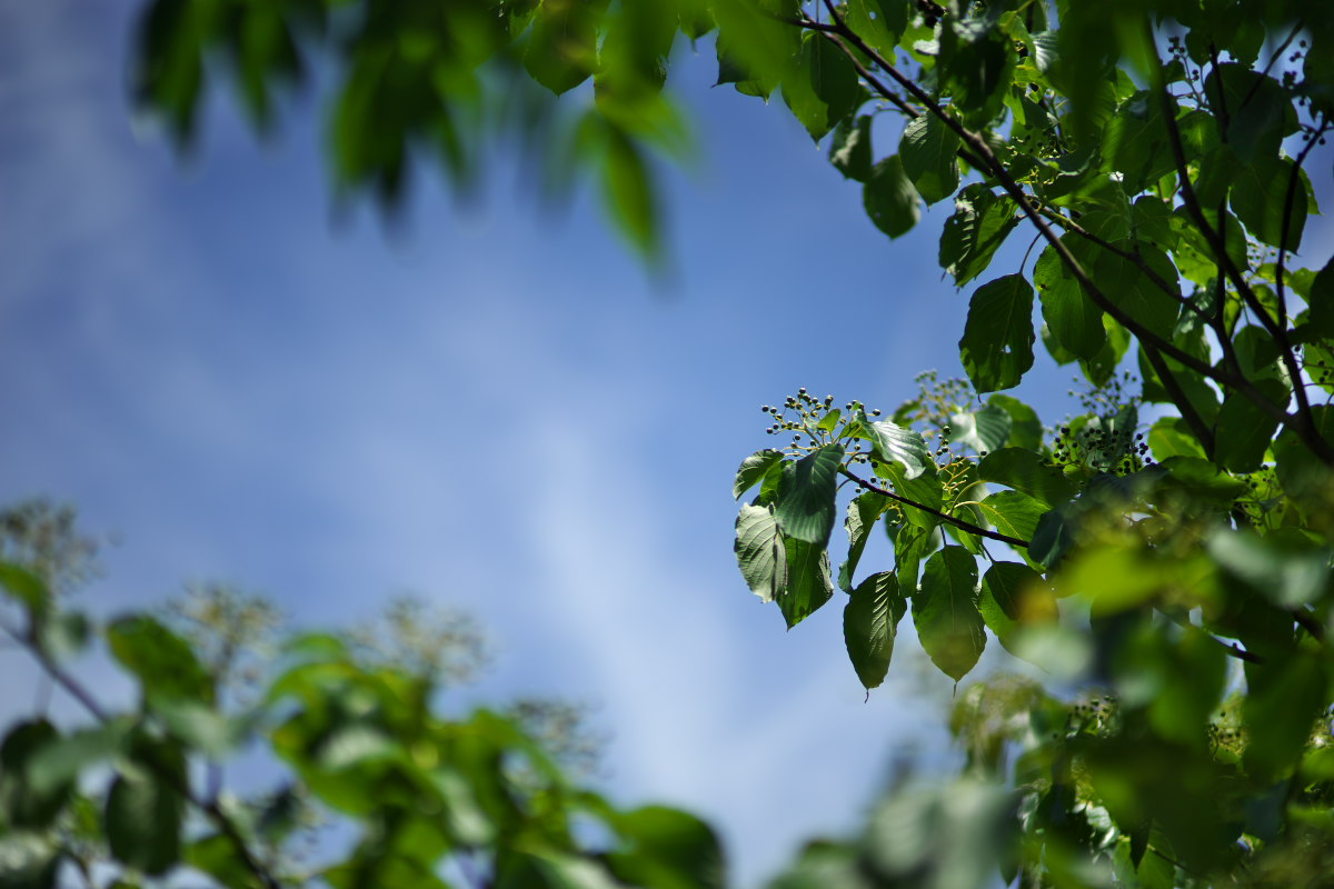 a0083081_2343273.jpg
