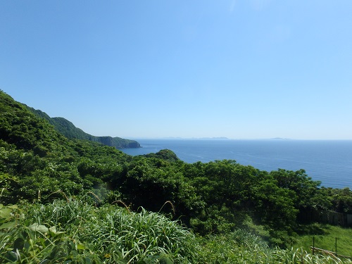 d0174683_21441996.jpg