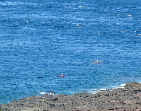 d0174683_21525899.jpg