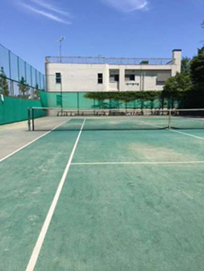 c0003493_1475868.jpg