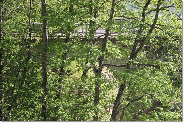 f0146493_14132623.jpg