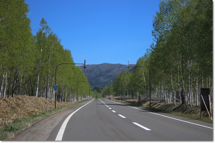 f0146493_141450100.jpg