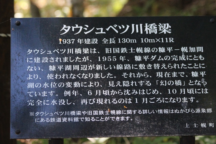 f0146493_1414727.jpg