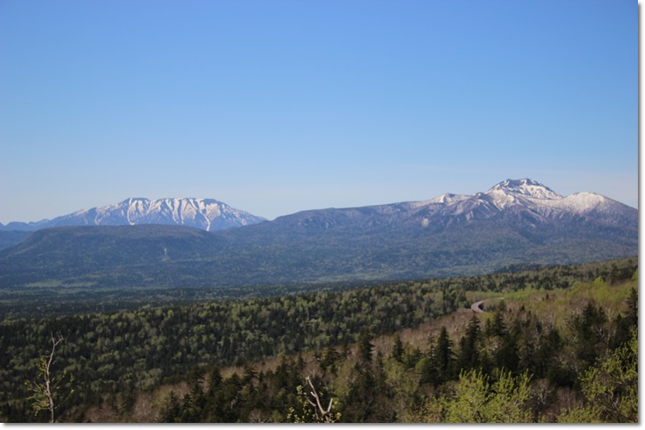 f0146493_1415269.jpg