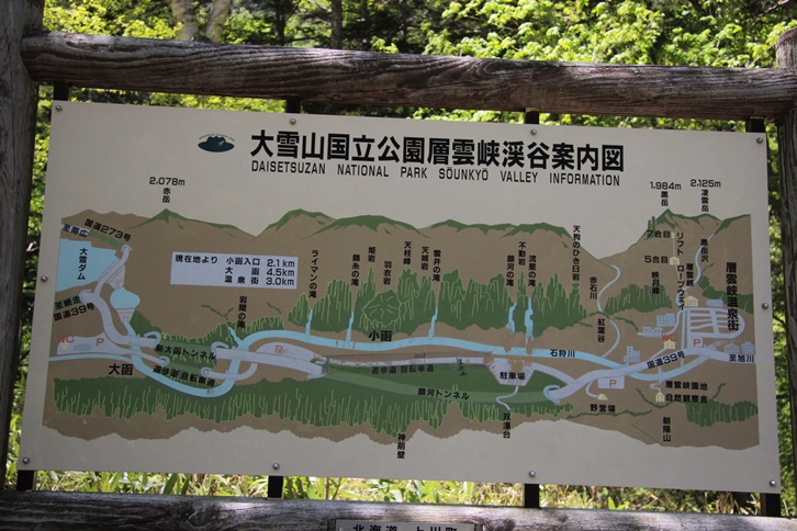 f0146493_1416032.jpg
