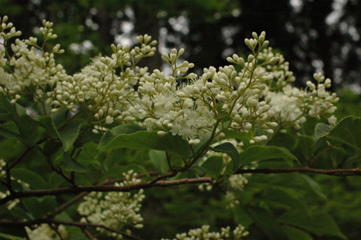 a0061599_6313918.jpg