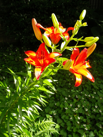 f0239100_22365748.jpg