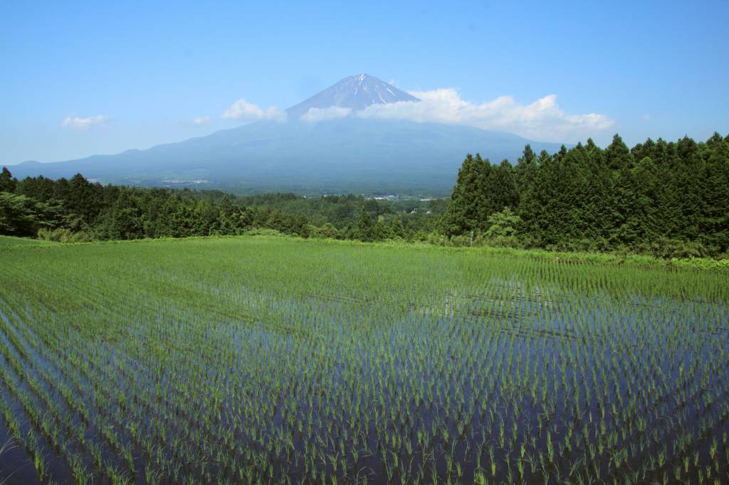 a0188405_21494446.jpg