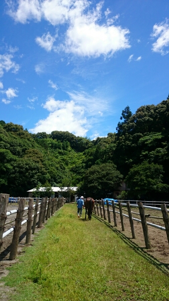 b0187620_20461714.jpg