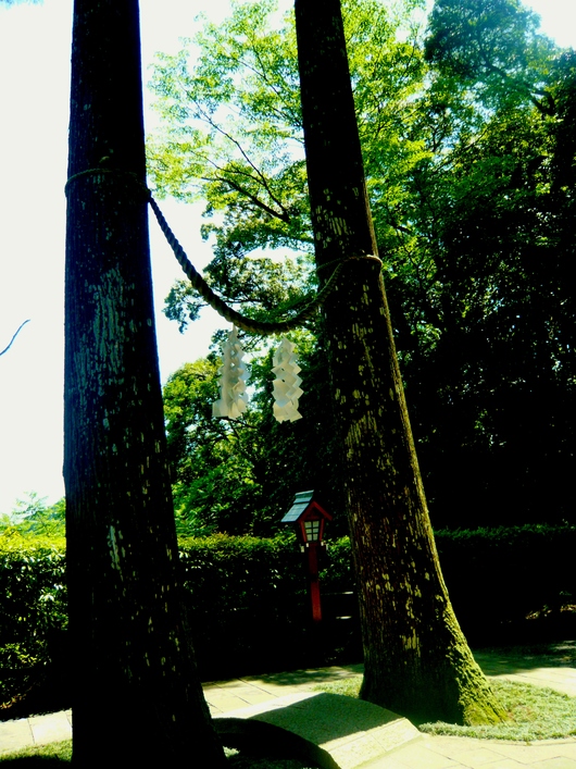 a0206332_1013699.jpg