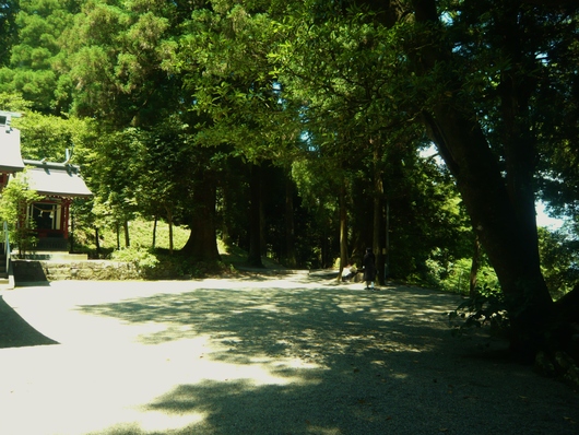 a0206332_9593387.jpg