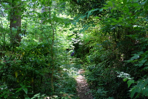 b0281732_16102462.jpg