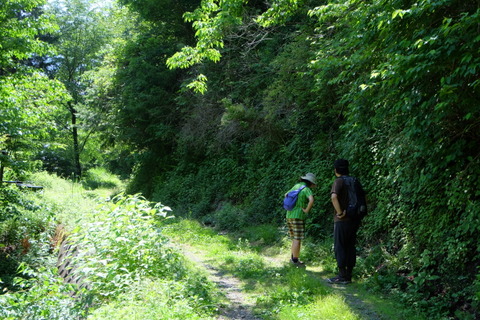 b0281732_1610399.jpg