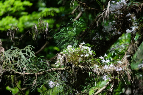 b0281732_16111777.jpg