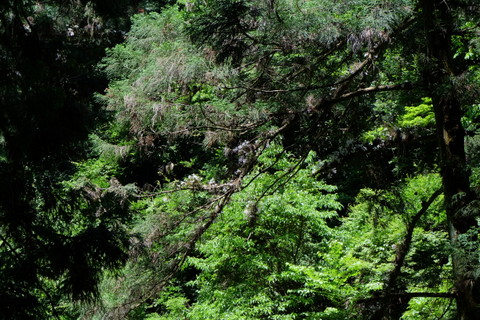 b0281732_16112541.jpg