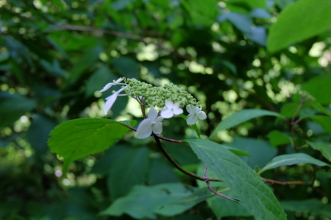 b0281732_16113253.jpg
