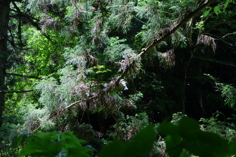 b0281732_1611381.jpg