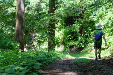 b0281732_1692346.jpg