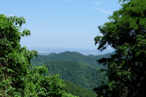 b0281732_1695044.jpg