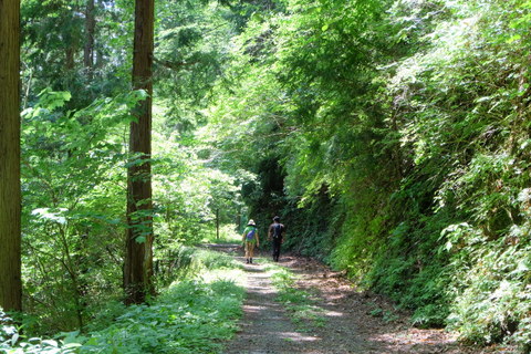 b0281732_169888.jpg