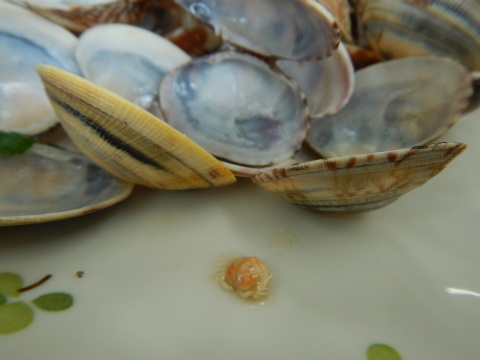 f0118332_23101252.jpg