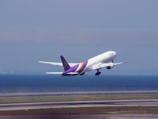 d0001533_133092.jpg