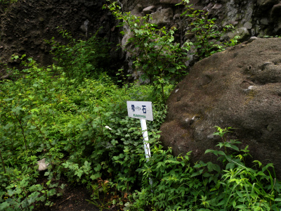 e0272335_19535829.jpg