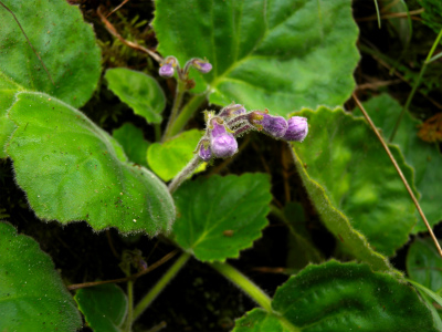 e0272335_20134565.jpg