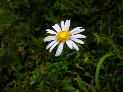 e0272335_20291790.jpg
